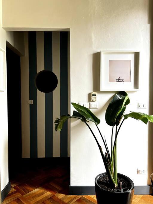 Lavi' Suite Elegante Centrale Luminoso Torino Eksteriør billede